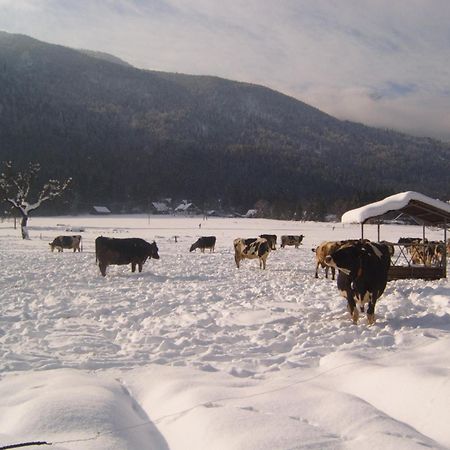 Farmhouse Soklic Bohinj Eksteriør billede