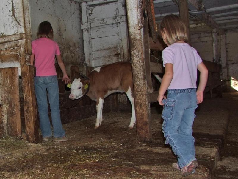 Farmhouse Soklic Bohinj Eksteriør billede
