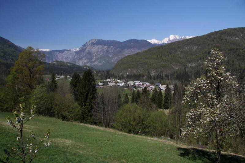 Farmhouse Soklic Bohinj Eksteriør billede