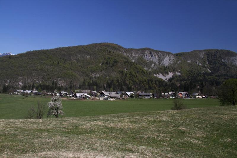 Farmhouse Soklic Bohinj Eksteriør billede